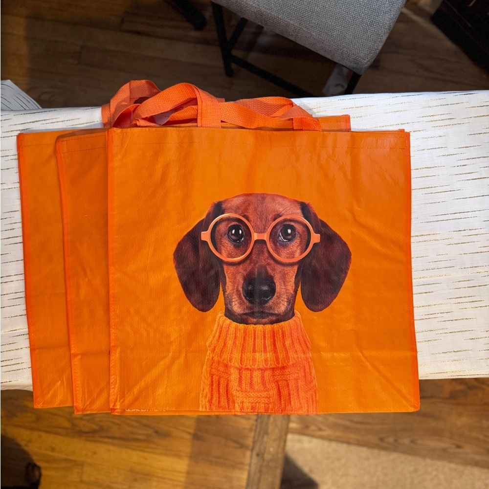 Bundle of 3 Dachshund Reusable Tote Bags – Orange Glasses Sweater Dog Design - Picture 5 of 5